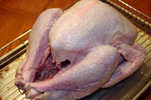 turkey seasoned with salt